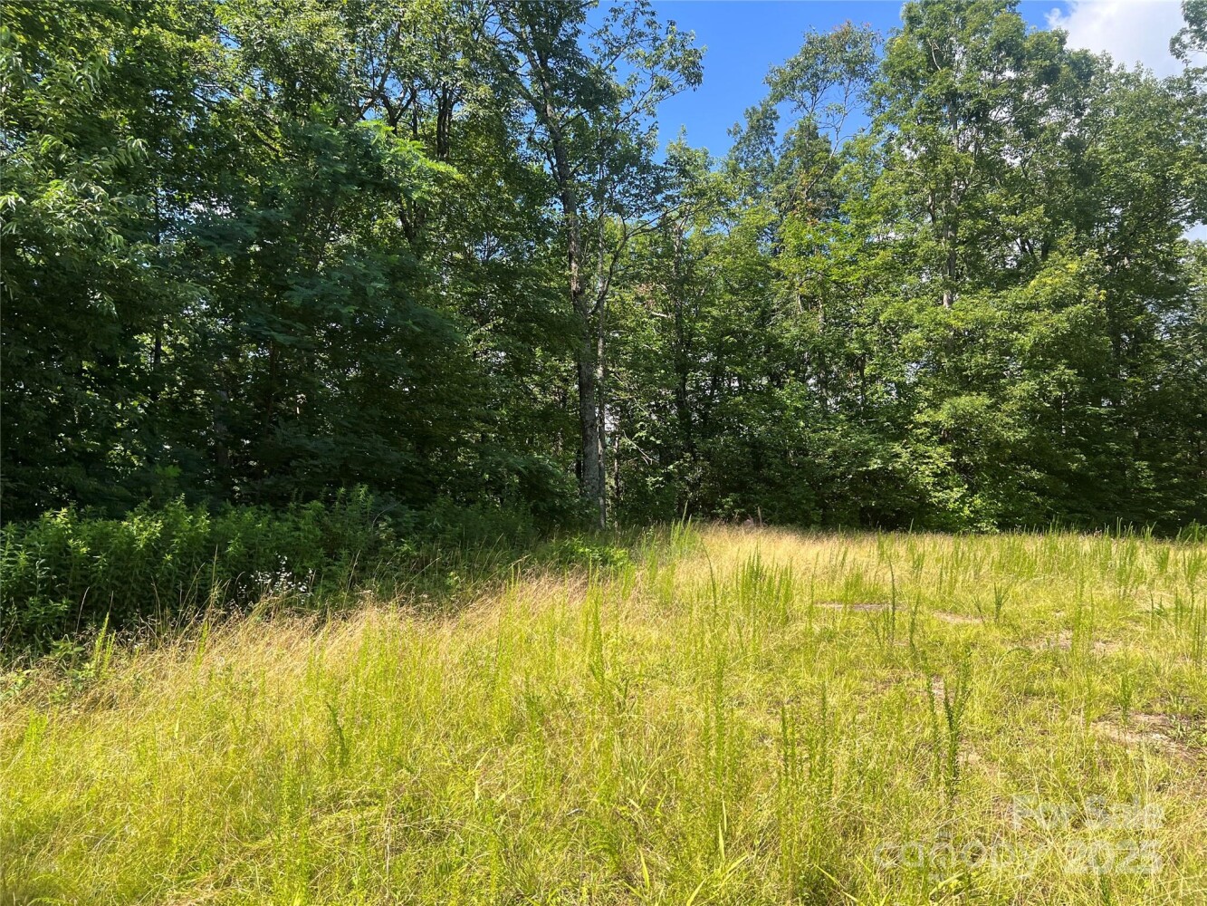 Land for Sale in Yancey County, NC (24 of 35)