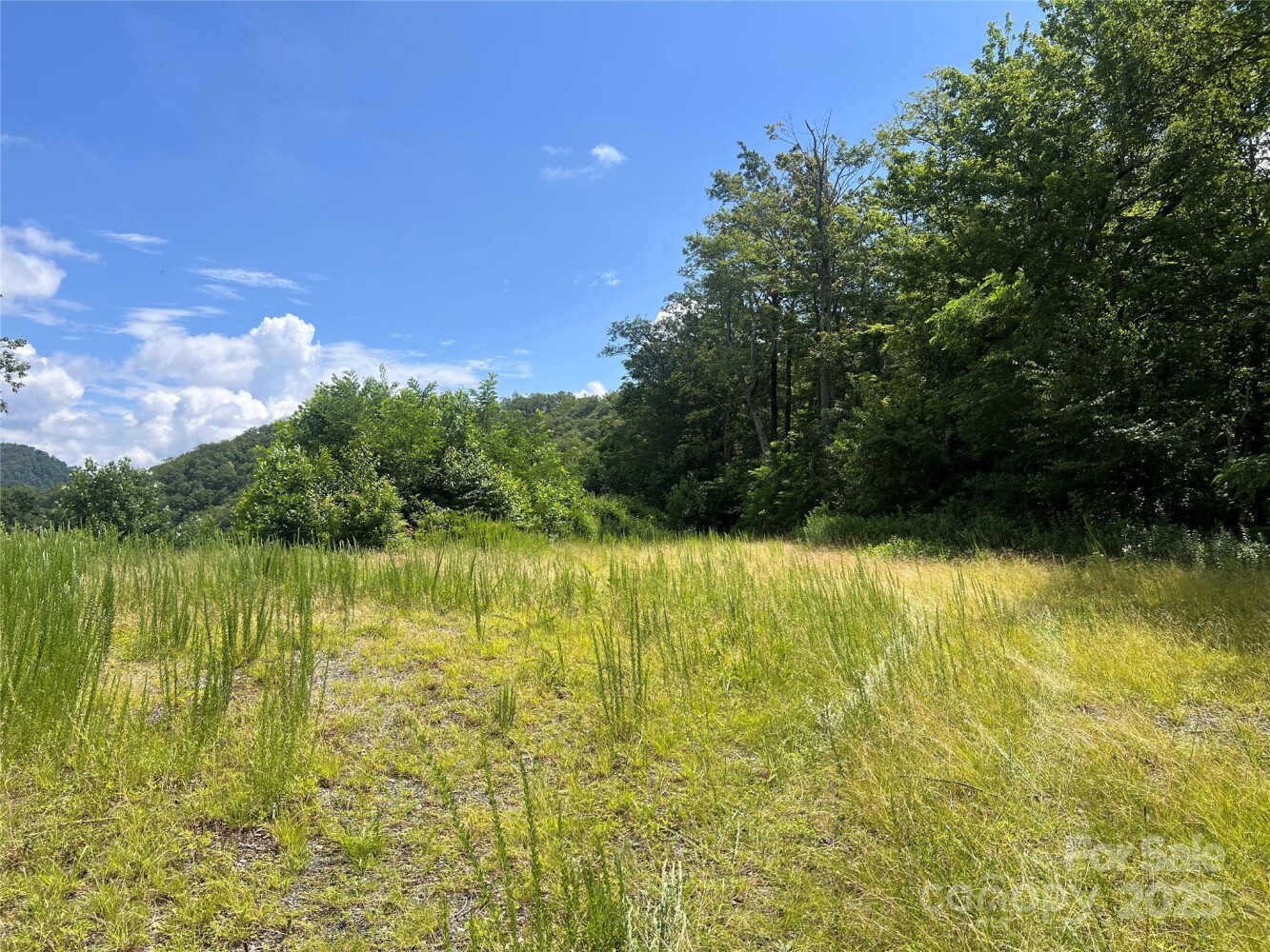 Land for Sale in Yancey County, NC (25 of 35)