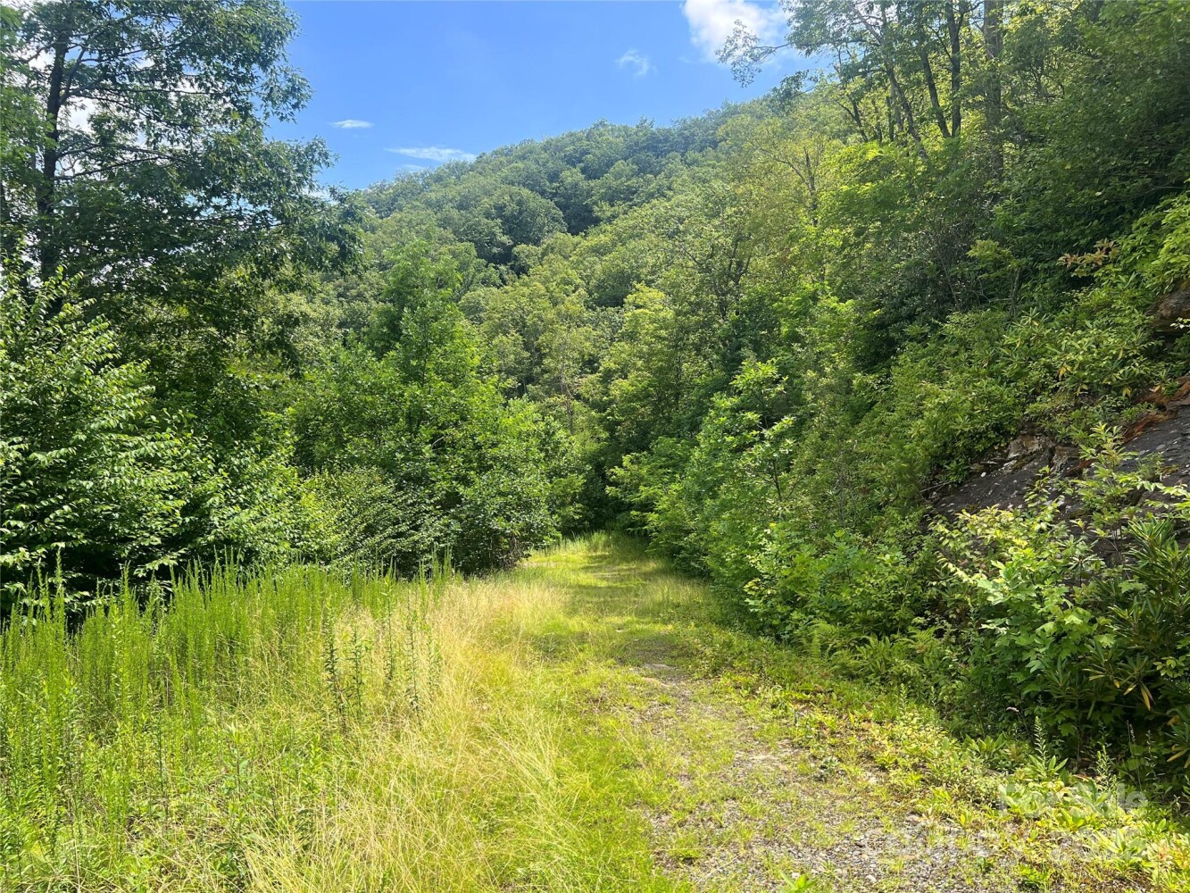 Land for Sale in Yancey County, NC (26 of 35)