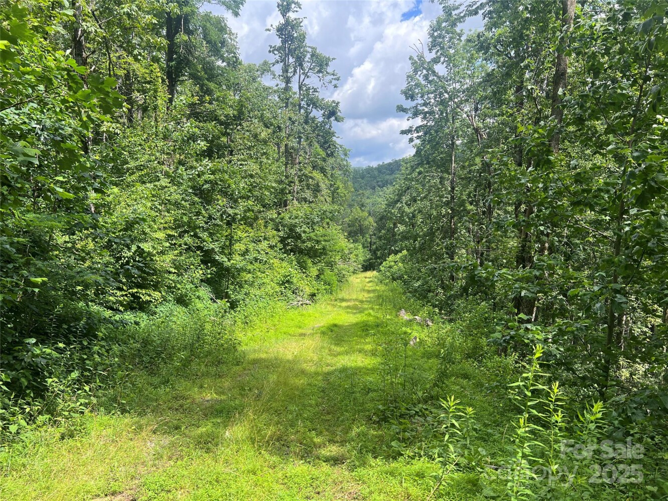 Land for Sale in Yancey County, NC (27 of 35)
