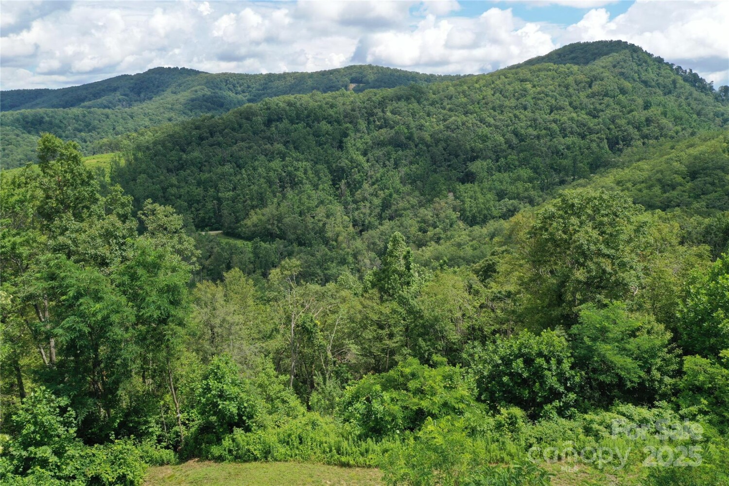 Land for Sale in Yancey County, NC (28 of 35)