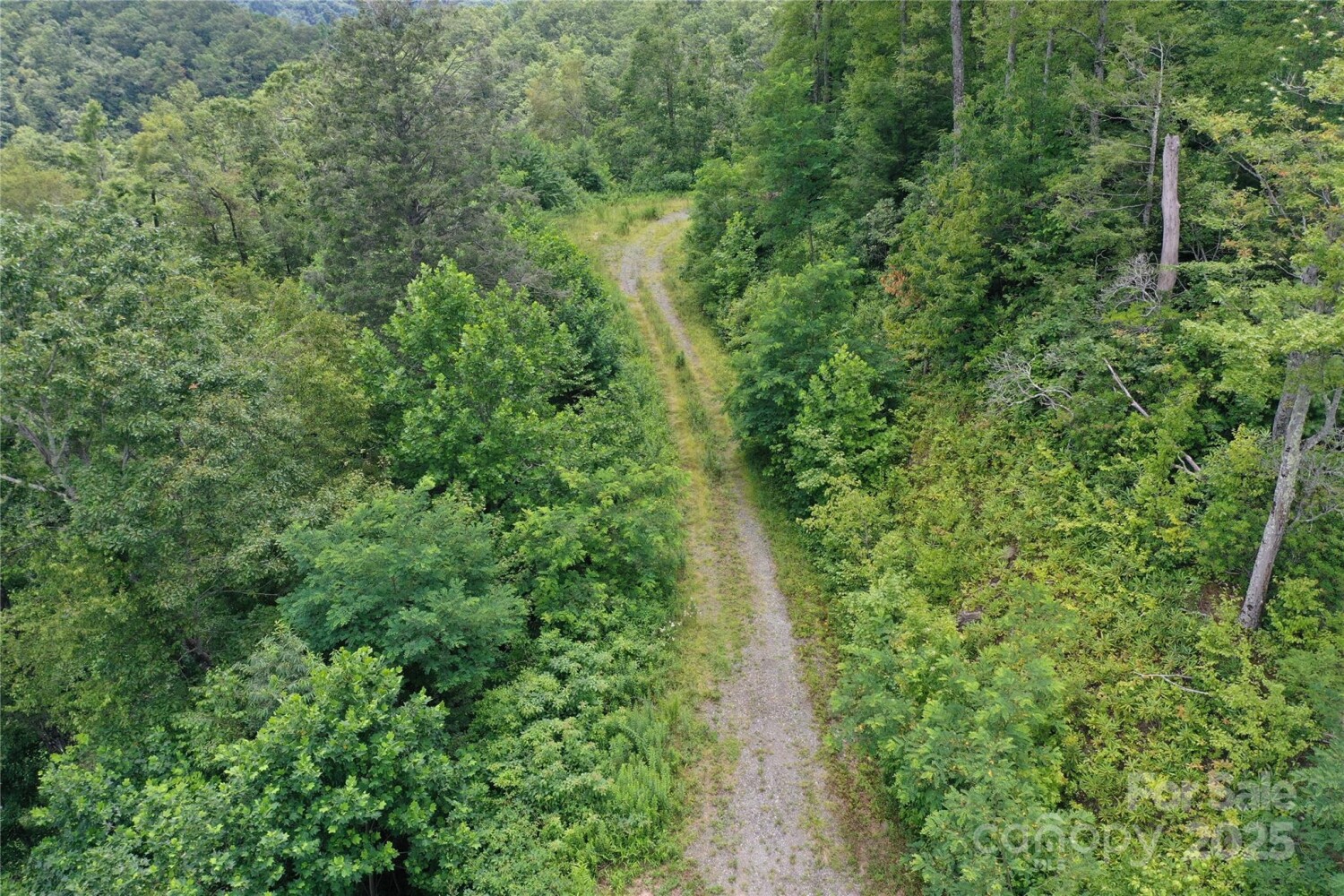 Land for Sale in Yancey County, NC (32 of 35)