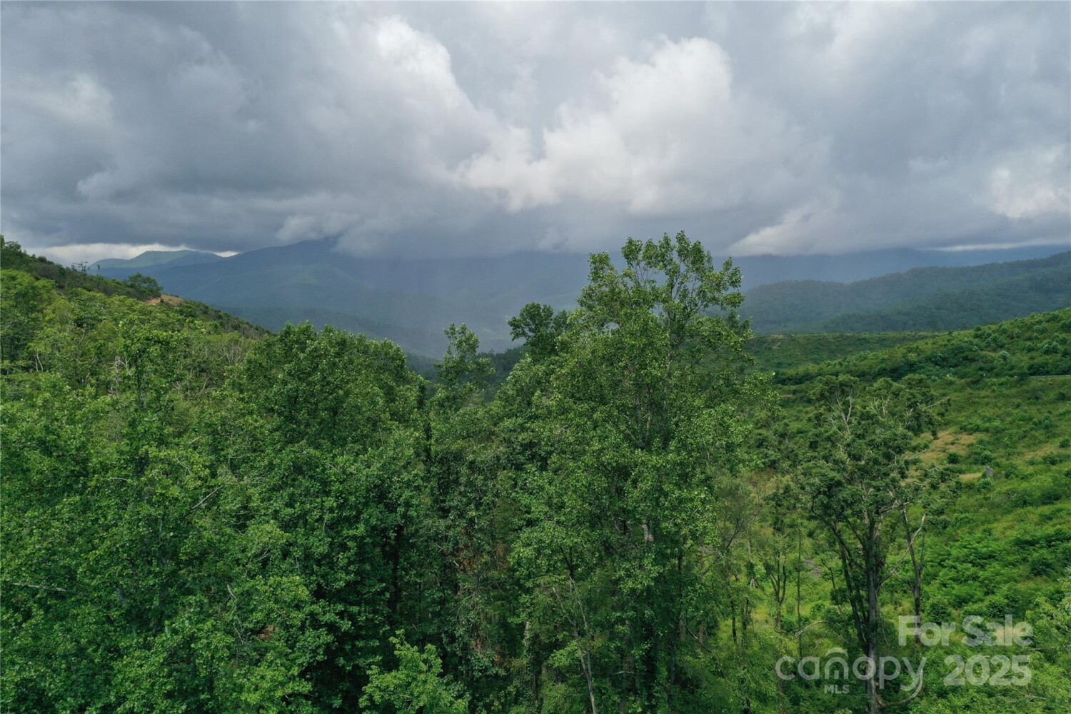 Land for Sale in Yancey County, NC (33 of 35)