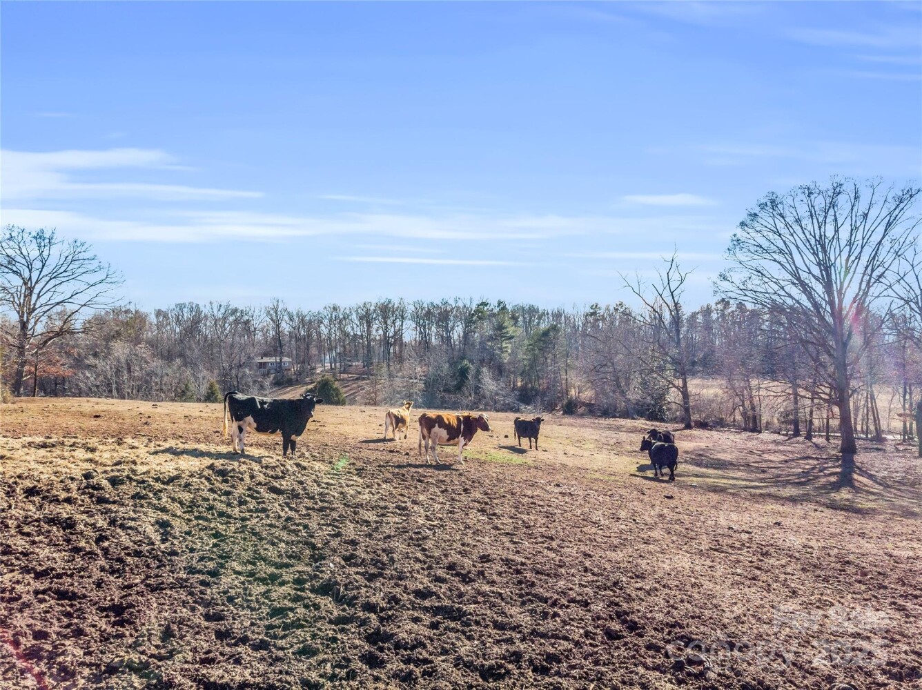 Land for Sale in Rutherford County, NC (26 of 33)