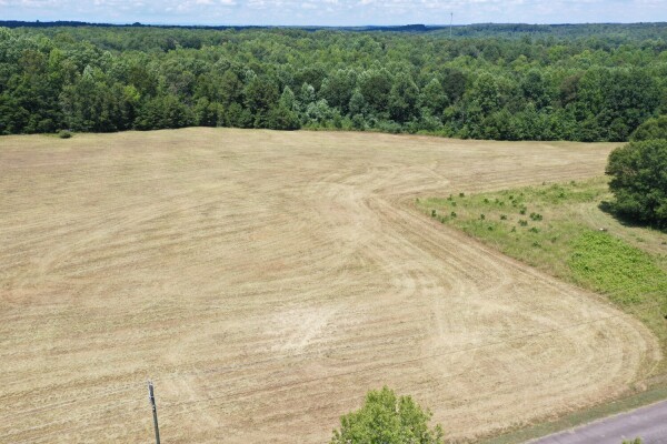 Listing image 0