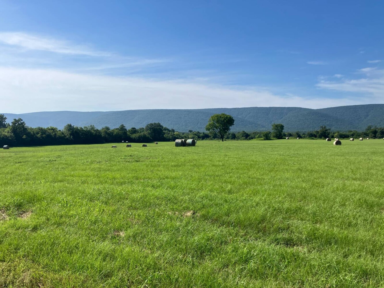 Land for Sale in Pushmataha County, OK (1 of 53)