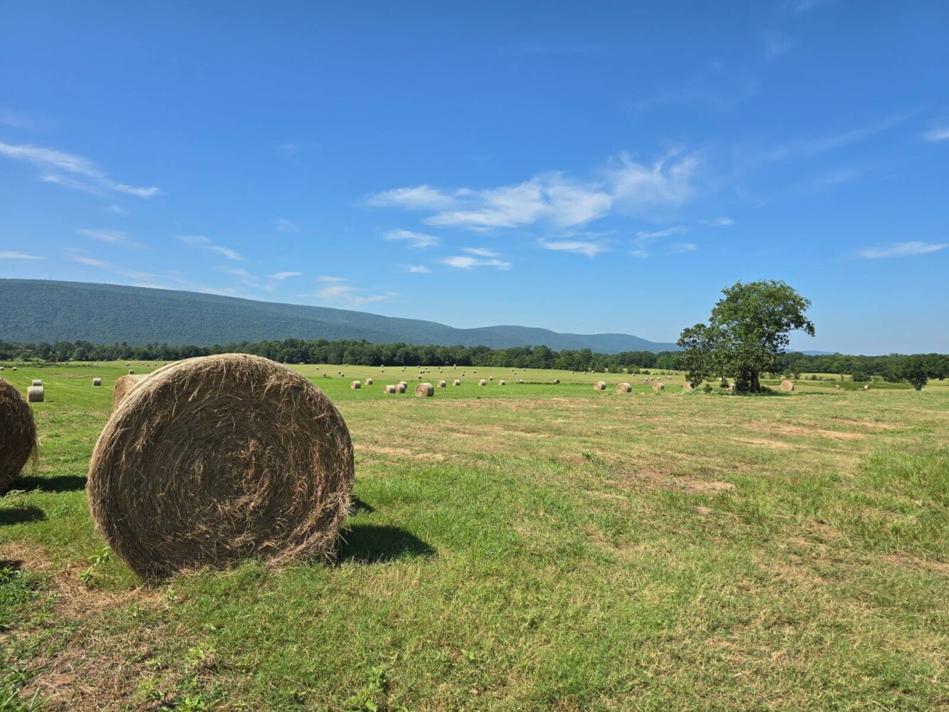 Land for Sale in Pushmataha County, OK (2 of 53)
