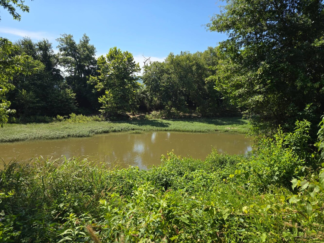 Land for Sale in Pushmataha County, OK (17 of 53)