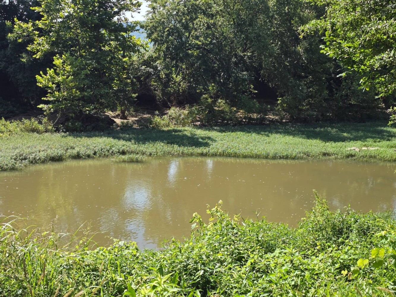 Land for Sale in Pushmataha County, OK (18 of 53)