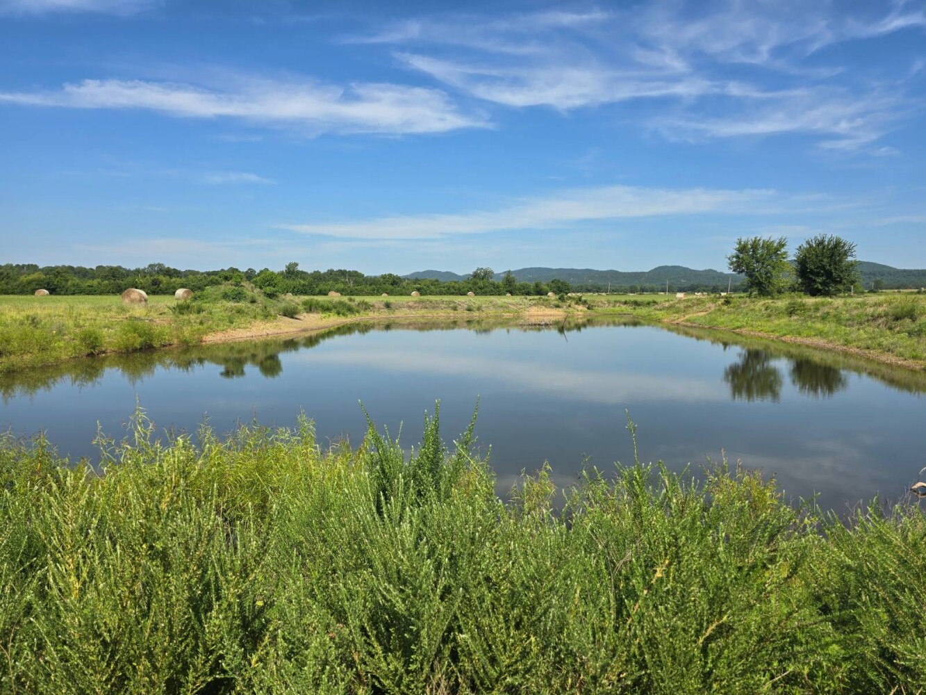 Land for Sale in Pushmataha County, OK (20 of 53)