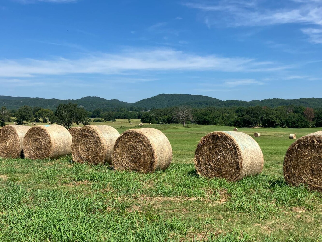 Land for Sale in Pushmataha County, OK (23 of 53)