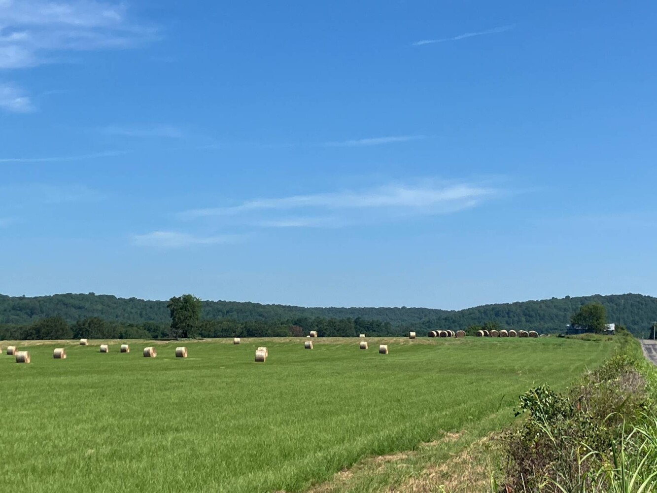 Land for Sale in Pushmataha County, OK (25 of 53)
