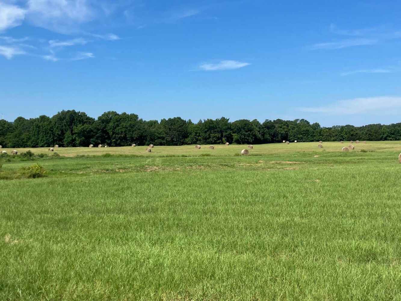 Land for Sale in Pushmataha County, OK (26 of 53)