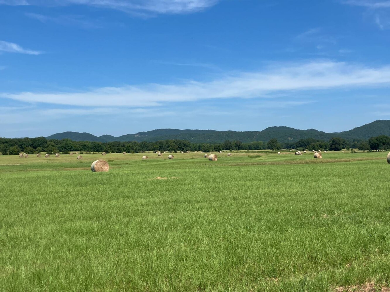 Land for Sale in Pushmataha County, OK (27 of 53)