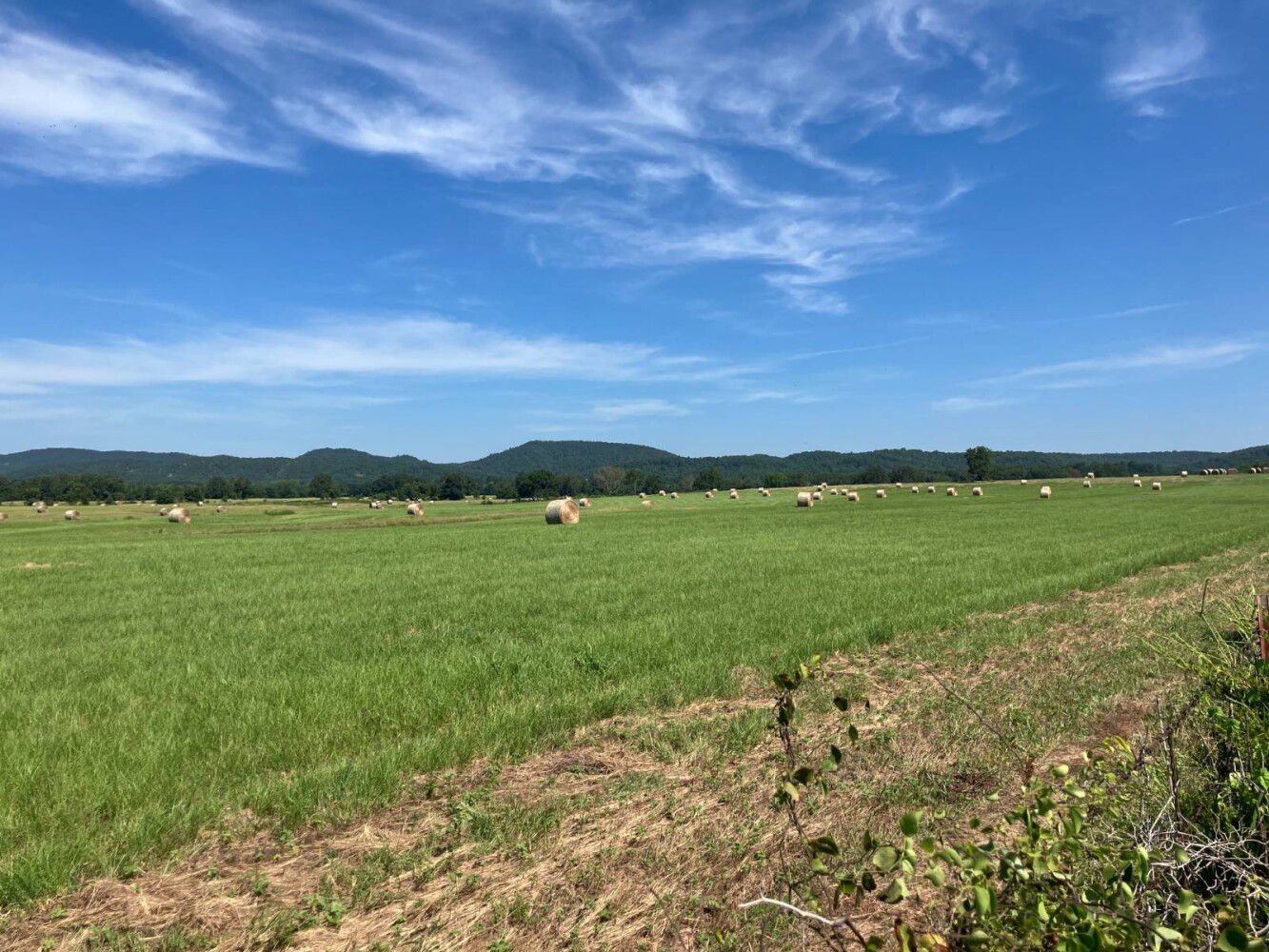 Land for Sale in Pushmataha County, OK (28 of 53)