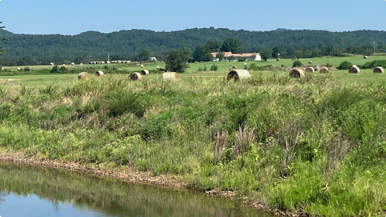 Land for Sale in Pushmataha County, OK (30 of 53)