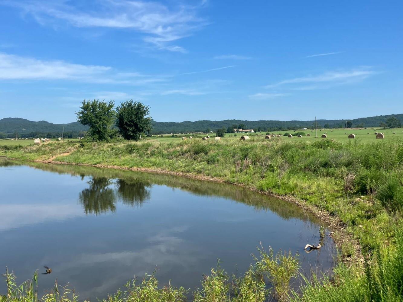 Land for Sale in Pushmataha County, OK (34 of 53)