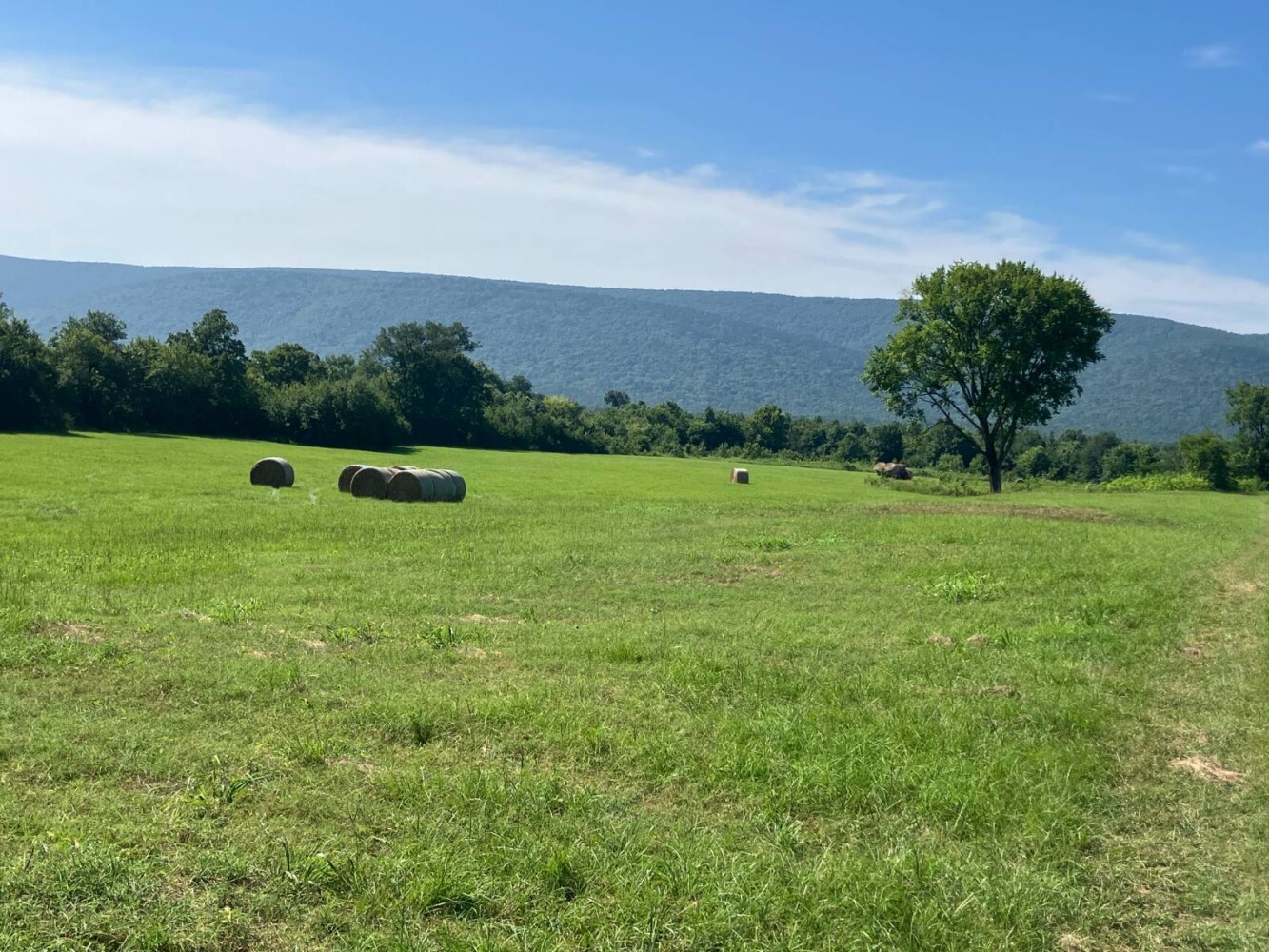 Land for Sale in Pushmataha County, OK (35 of 53)