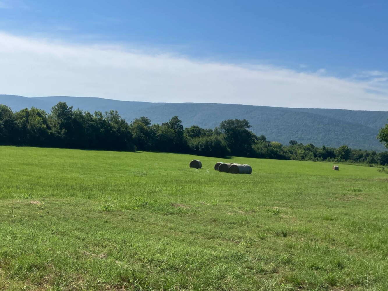 Land for Sale in Pushmataha County, OK (36 of 53)
