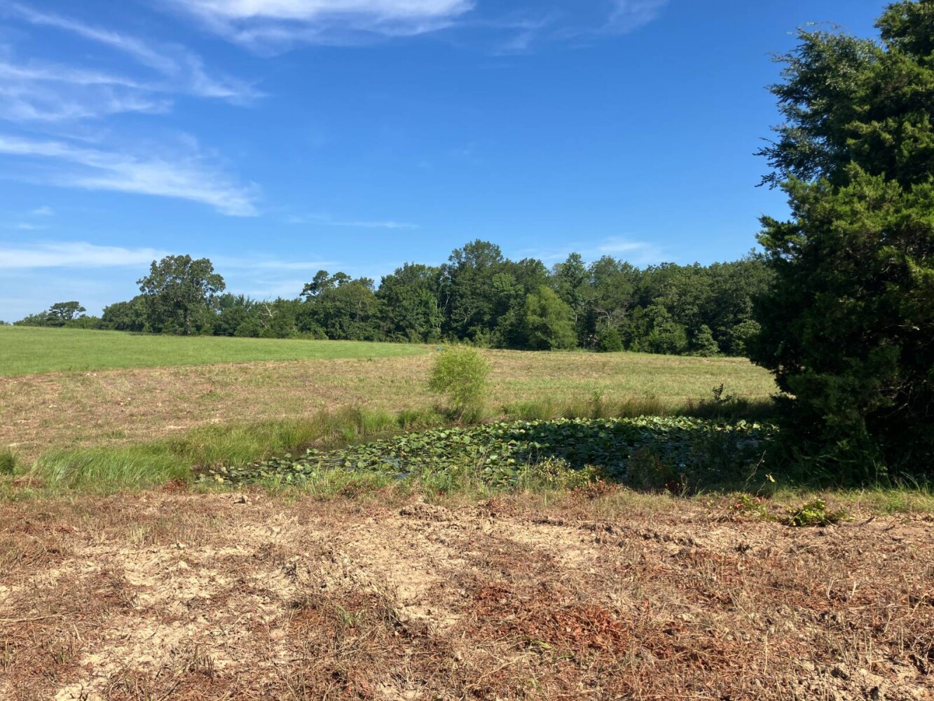 Land for Sale in Pushmataha County, OK (45 of 53)