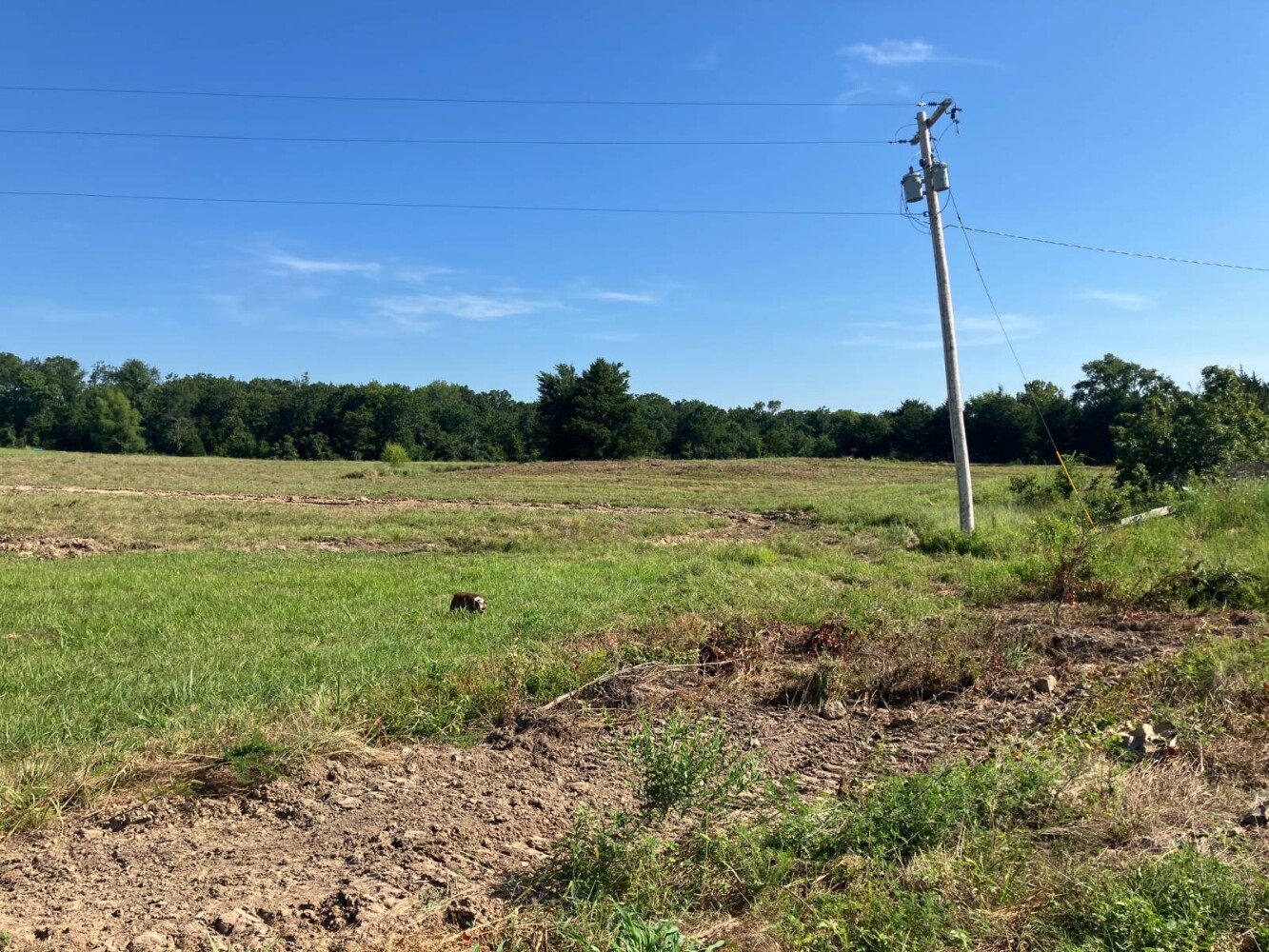 Land for Sale in Pushmataha County, OK (50 of 53)