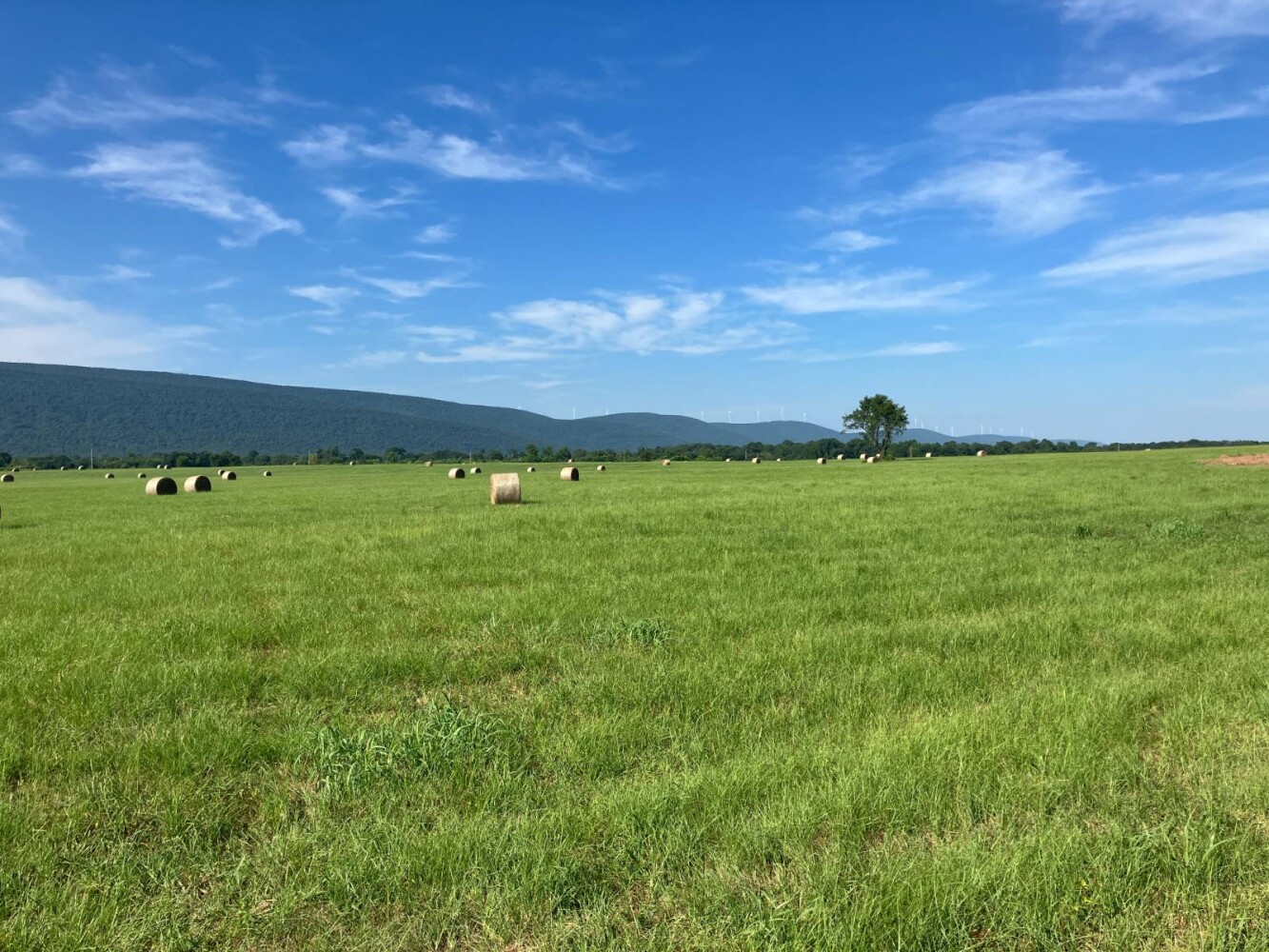Land for Sale in Pushmataha County, OK (53 of 53)