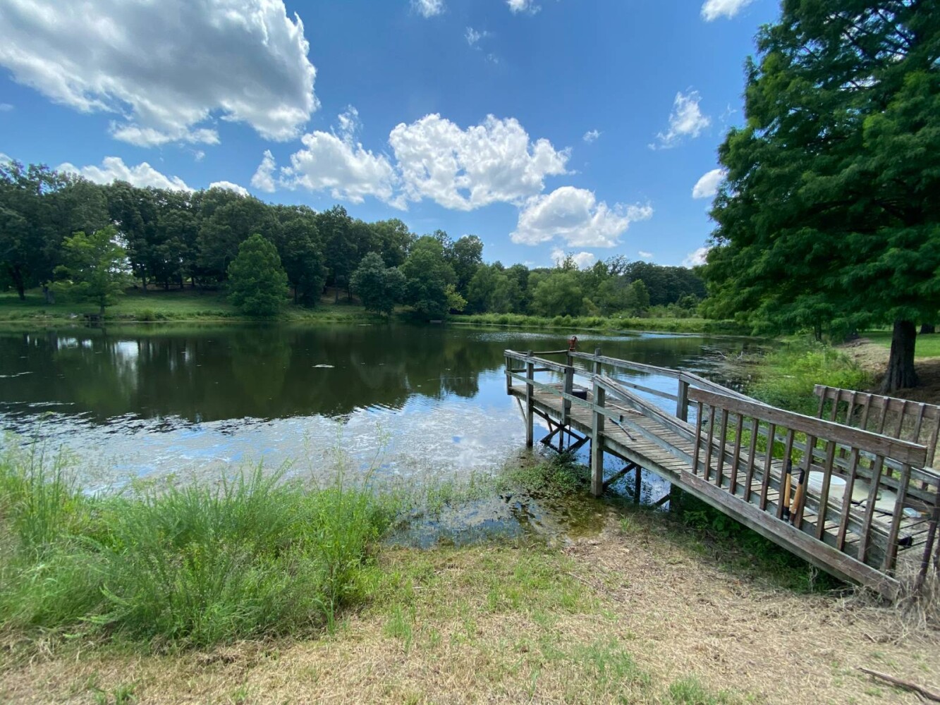 Land for Sale in Randolph County, AR (3 of 29)