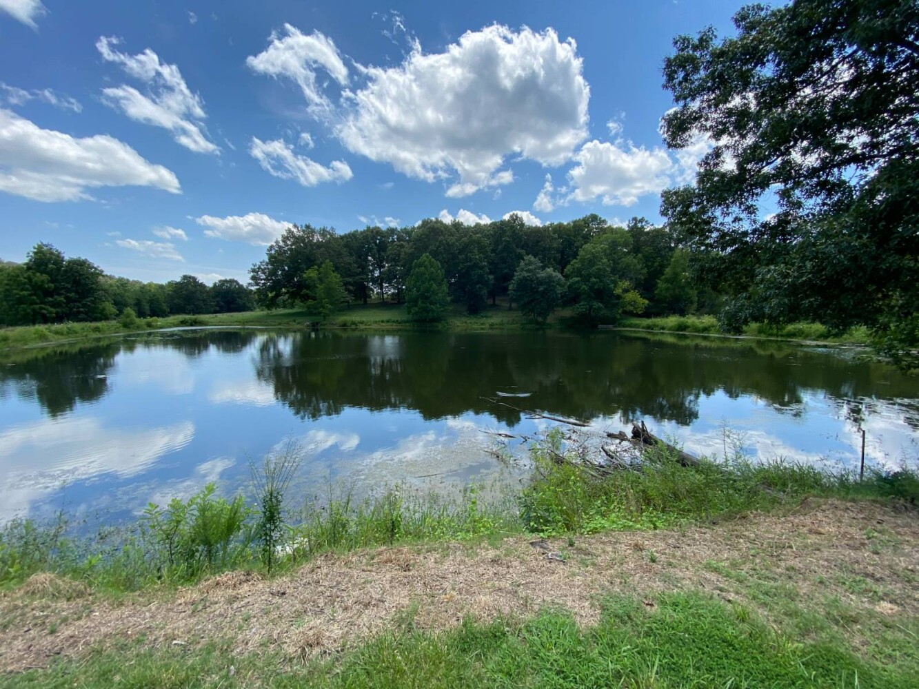 Land for Sale in Randolph County, AR (4 of 29)