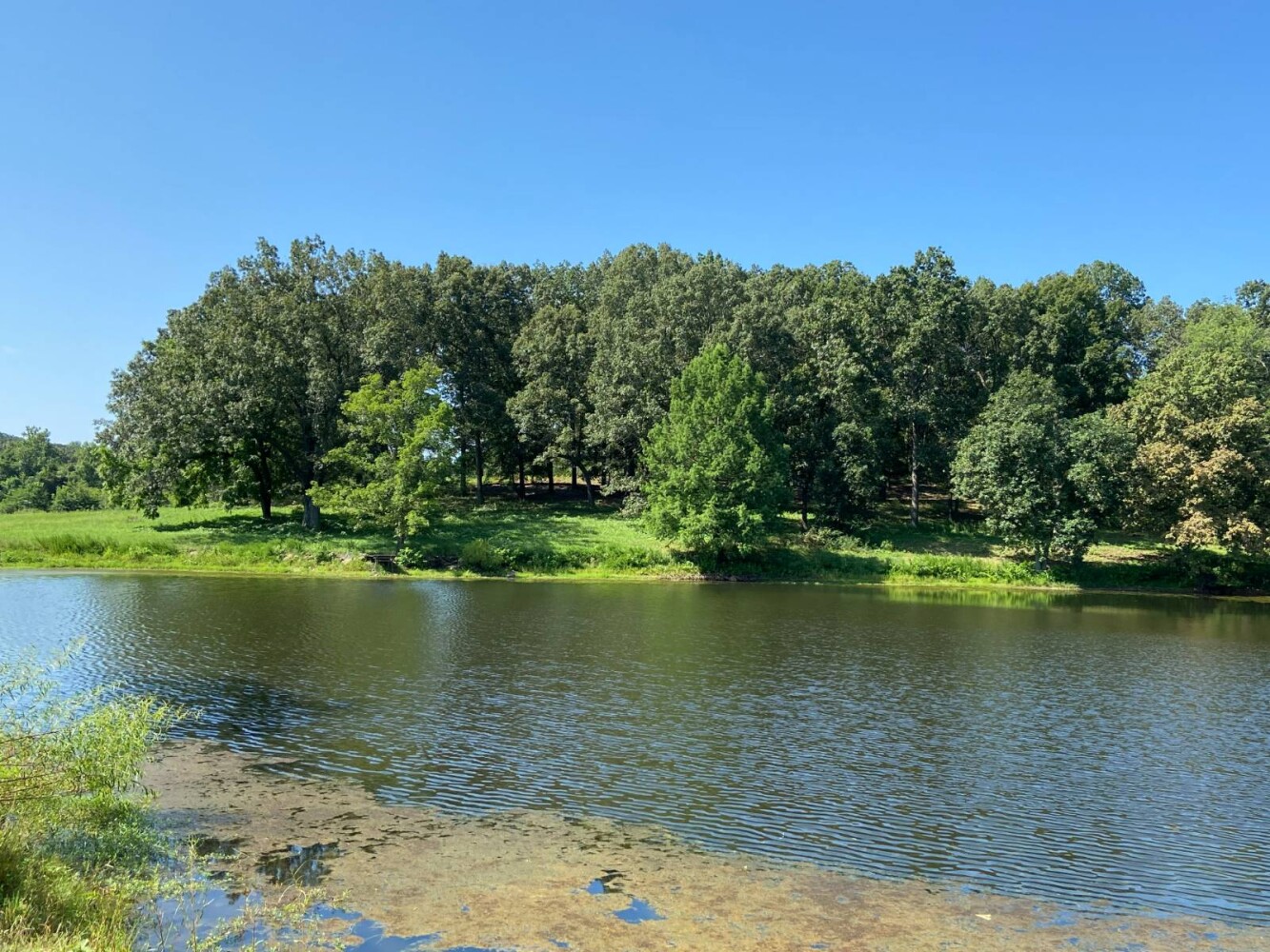 Land for Sale in Randolph County, AR (11 of 29)