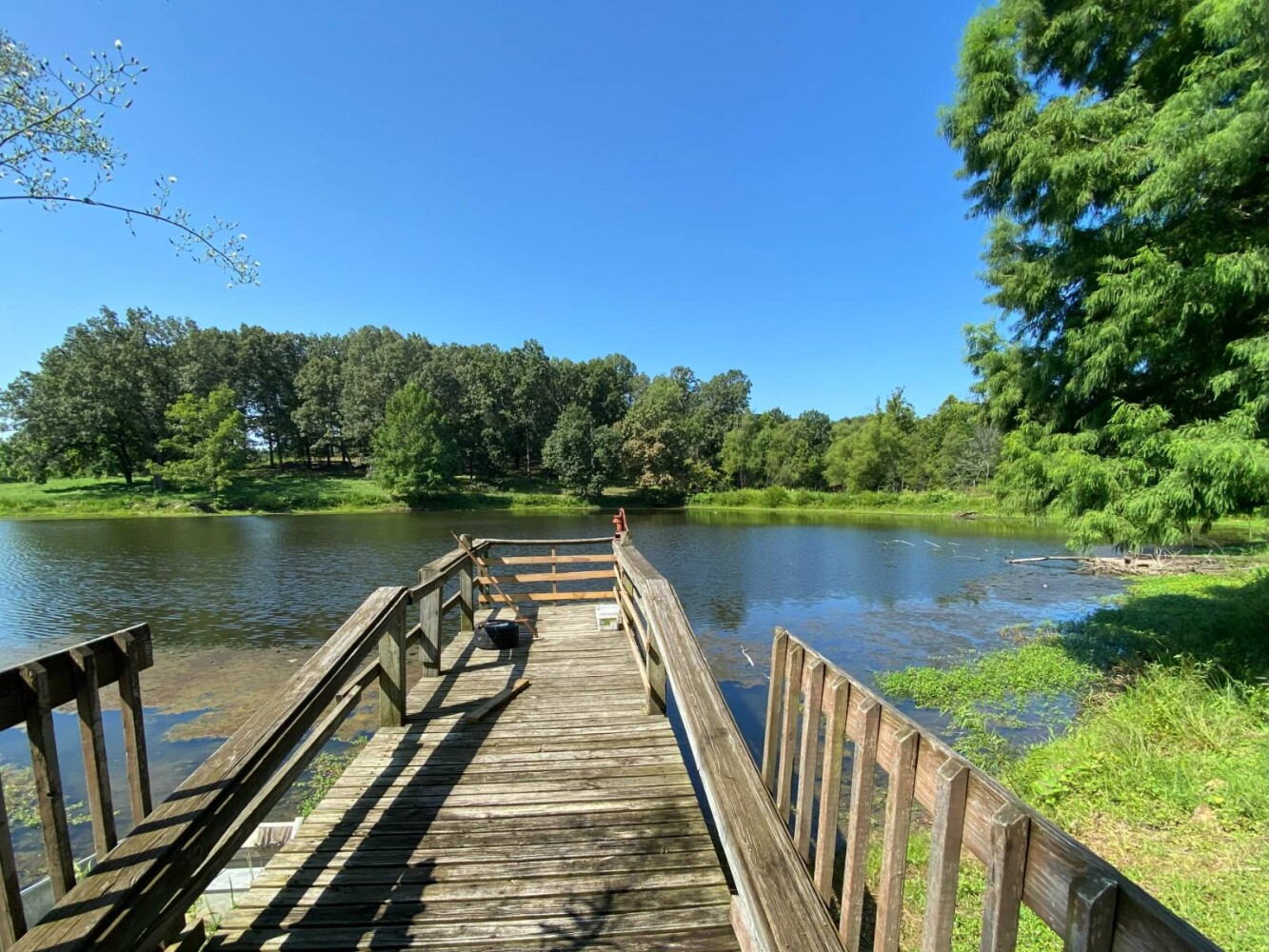 Land for Sale in Randolph County, AR (12 of 29)