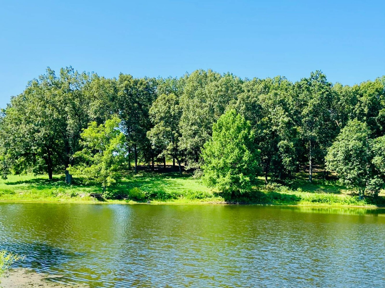 Land for Sale in Randolph County, AR (15 of 29)