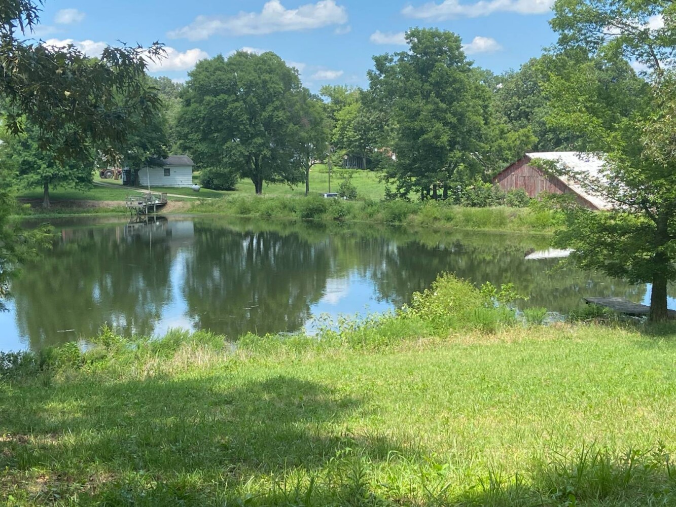Land for Sale in Randolph County, AR (16 of 29)