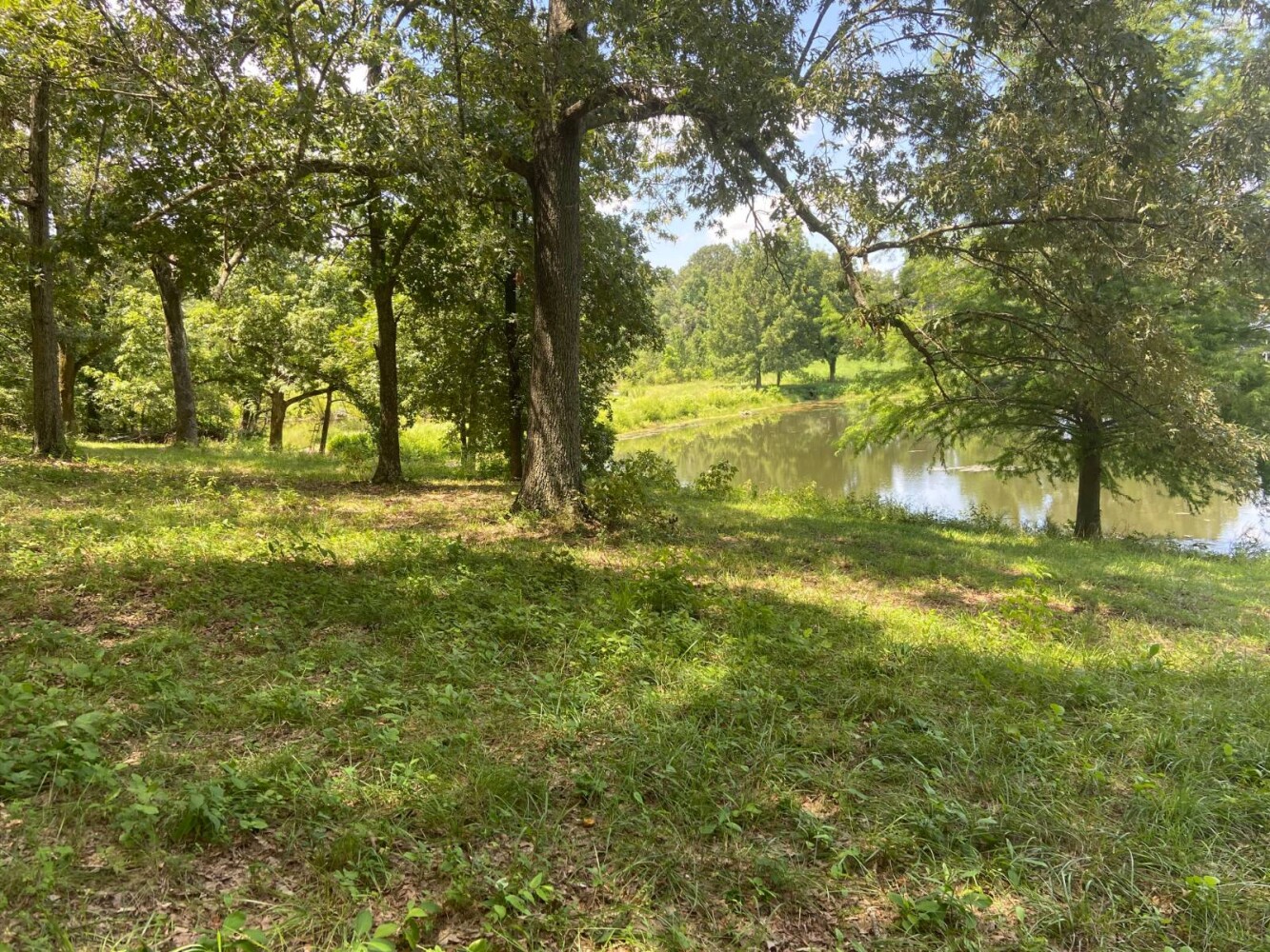 Land for Sale in Randolph County, AR (17 of 29)