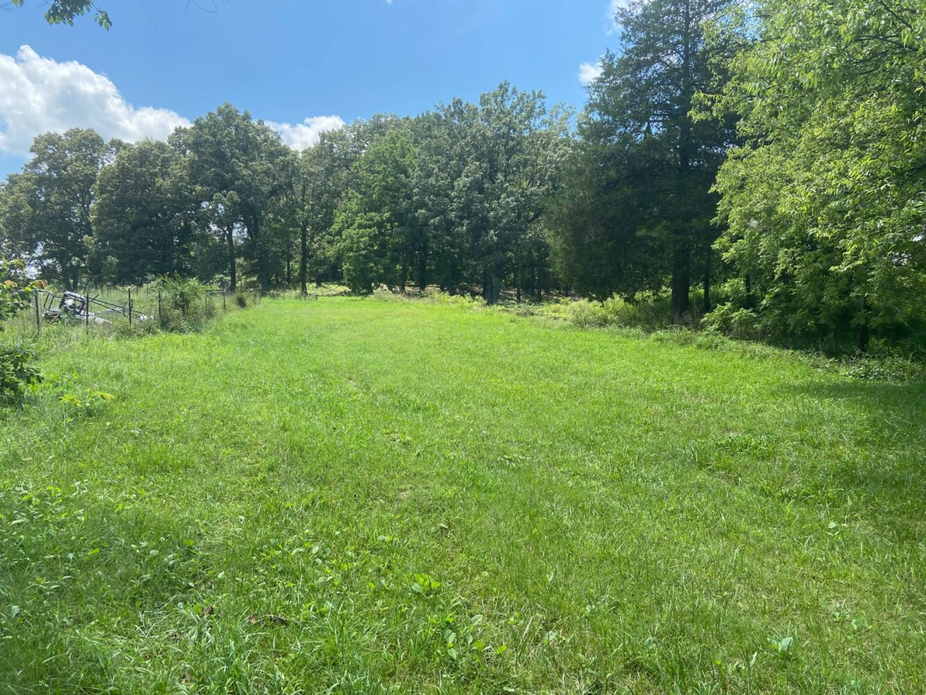 Land for Sale in Randolph County, AR (18 of 29)