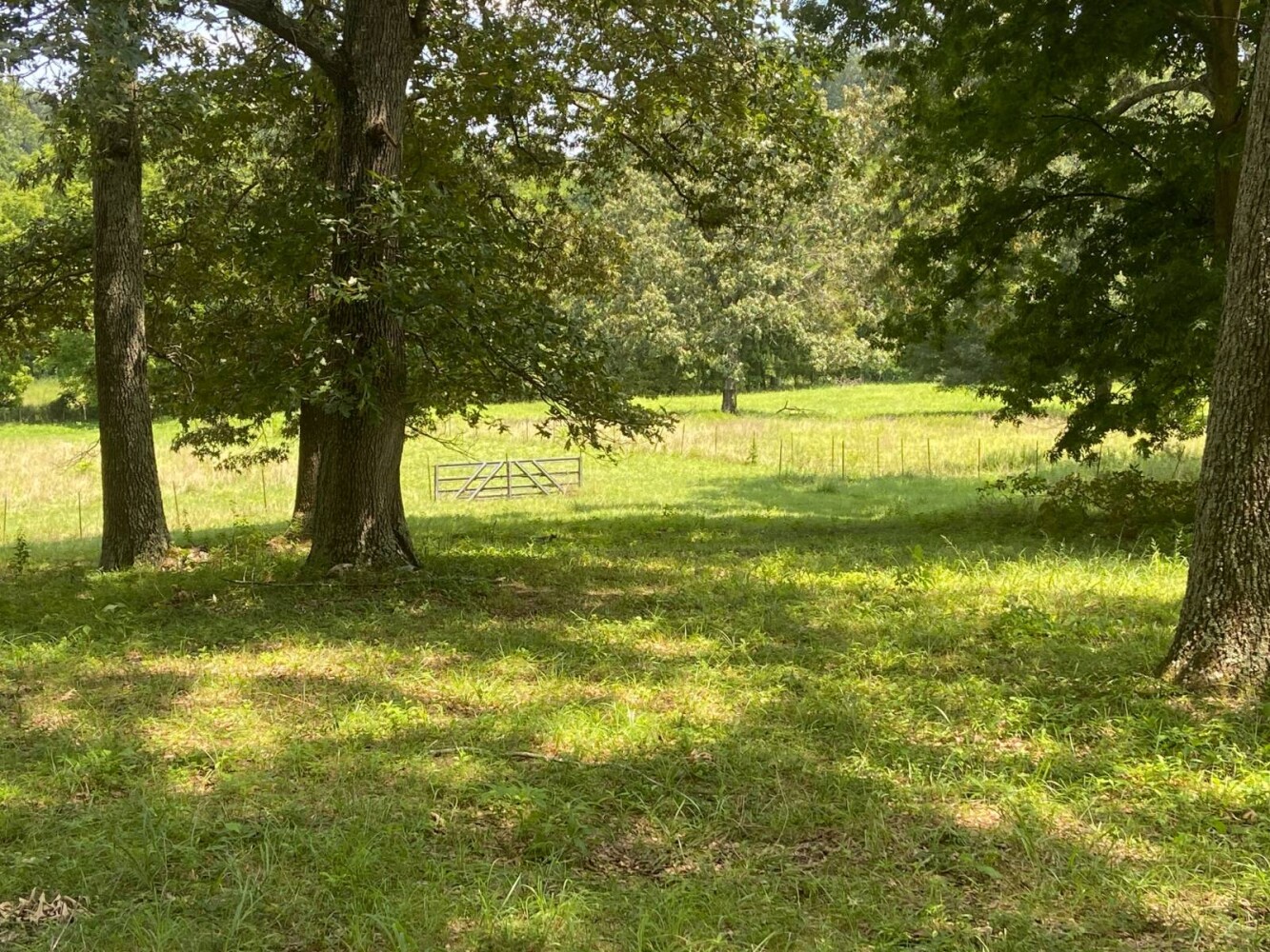 Land for Sale in Randolph County, AR (20 of 29)