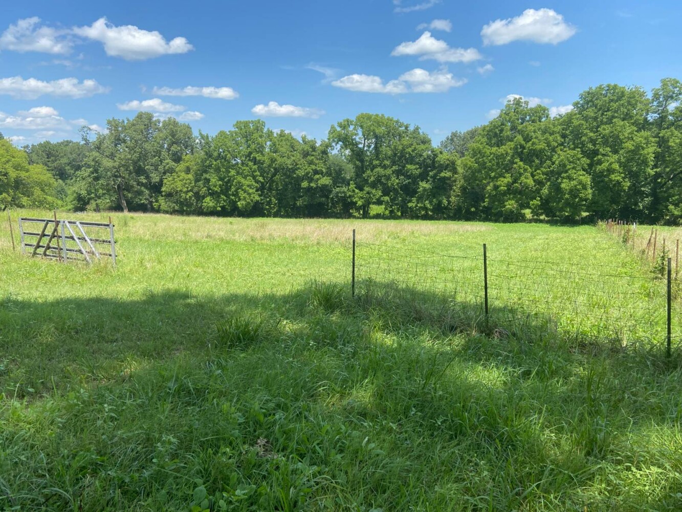 Land for Sale in Randolph County, AR (21 of 29)