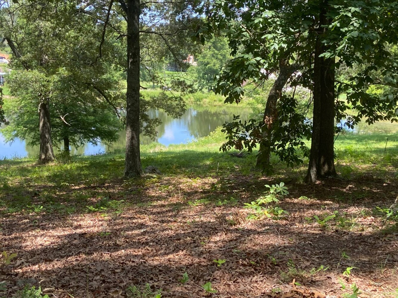 Land for Sale in Randolph County, AR (28 of 29)