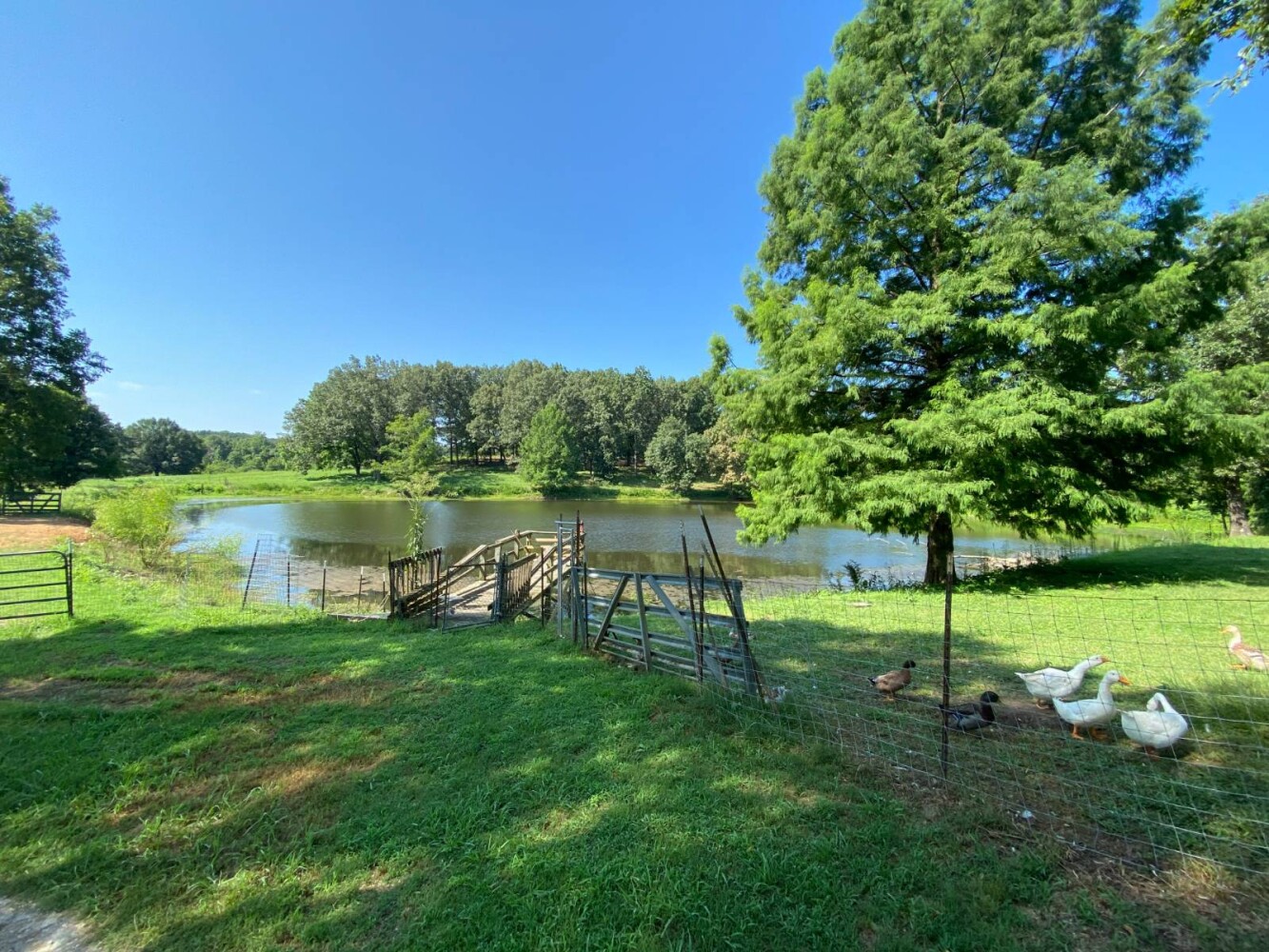 Land for Sale in Randolph County, AR (29 of 29)