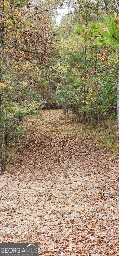 Land for Sale in Floyd County, GA (7 of 18)