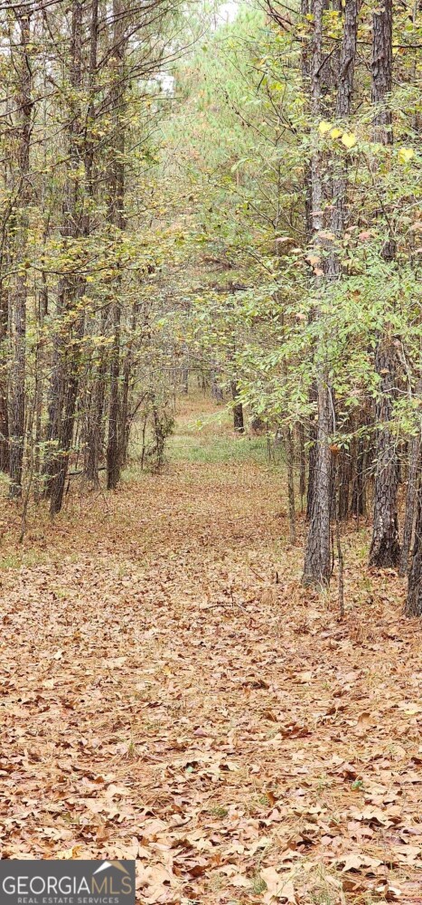 Land for Sale in Floyd County, GA (8 of 18)