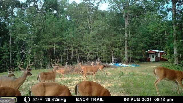 Land for Sale in Floyd County, GA (15 of 18)