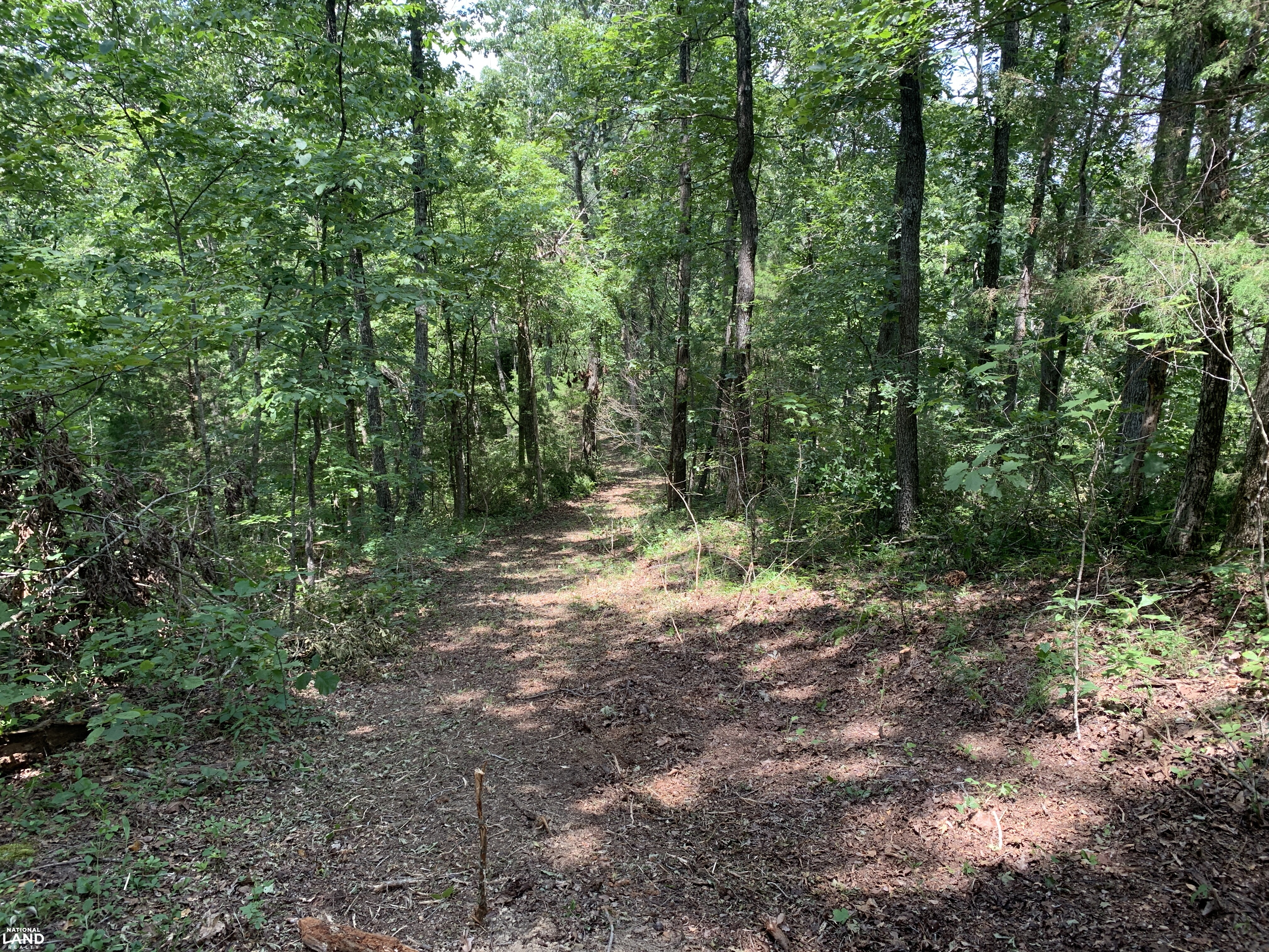 Wildwood Estates - Lot 24 in Metcalfe County, Kentucky (28 Photos ...