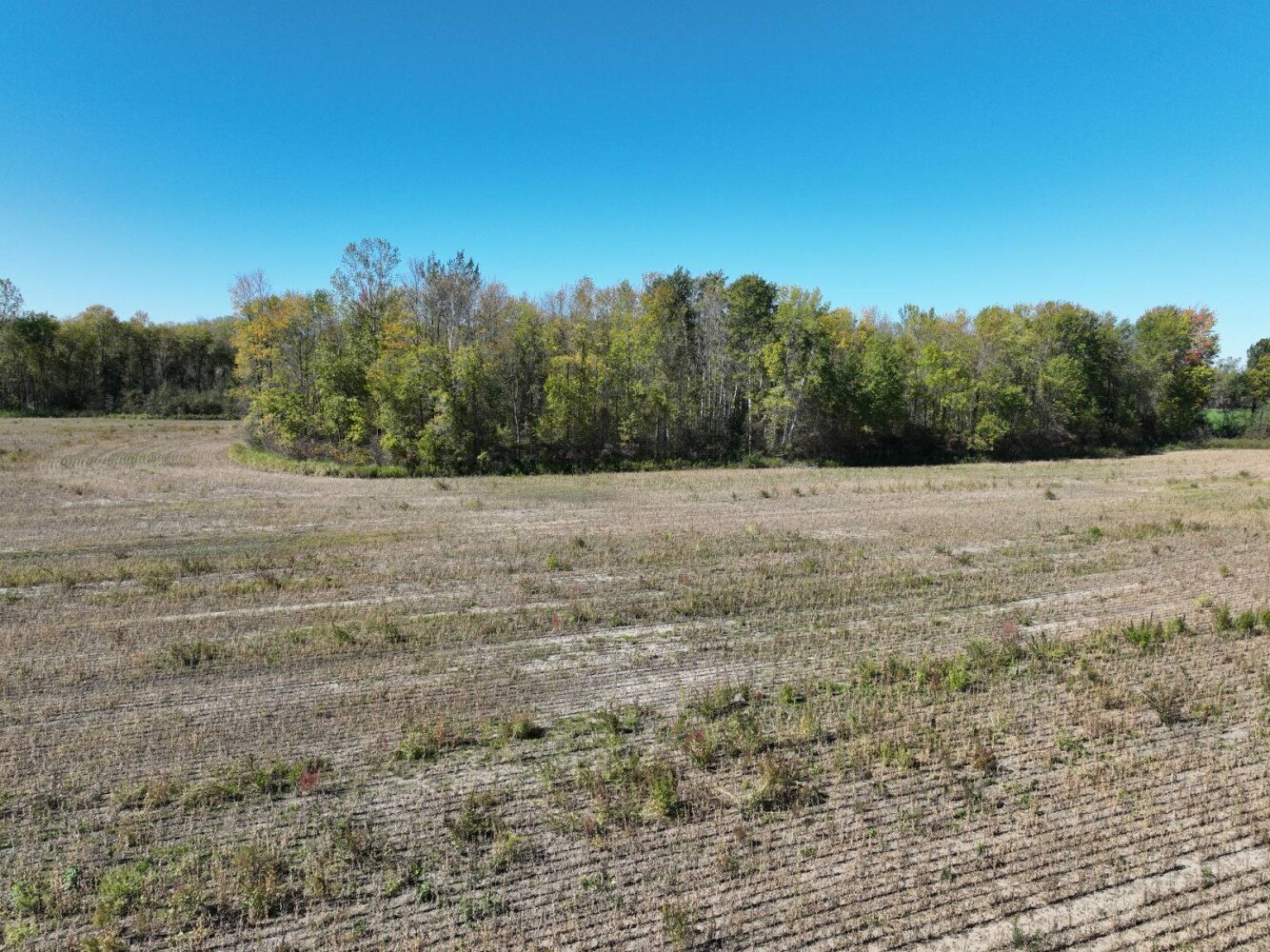 Land for Sale in Oconto County, WI (1 of 13)