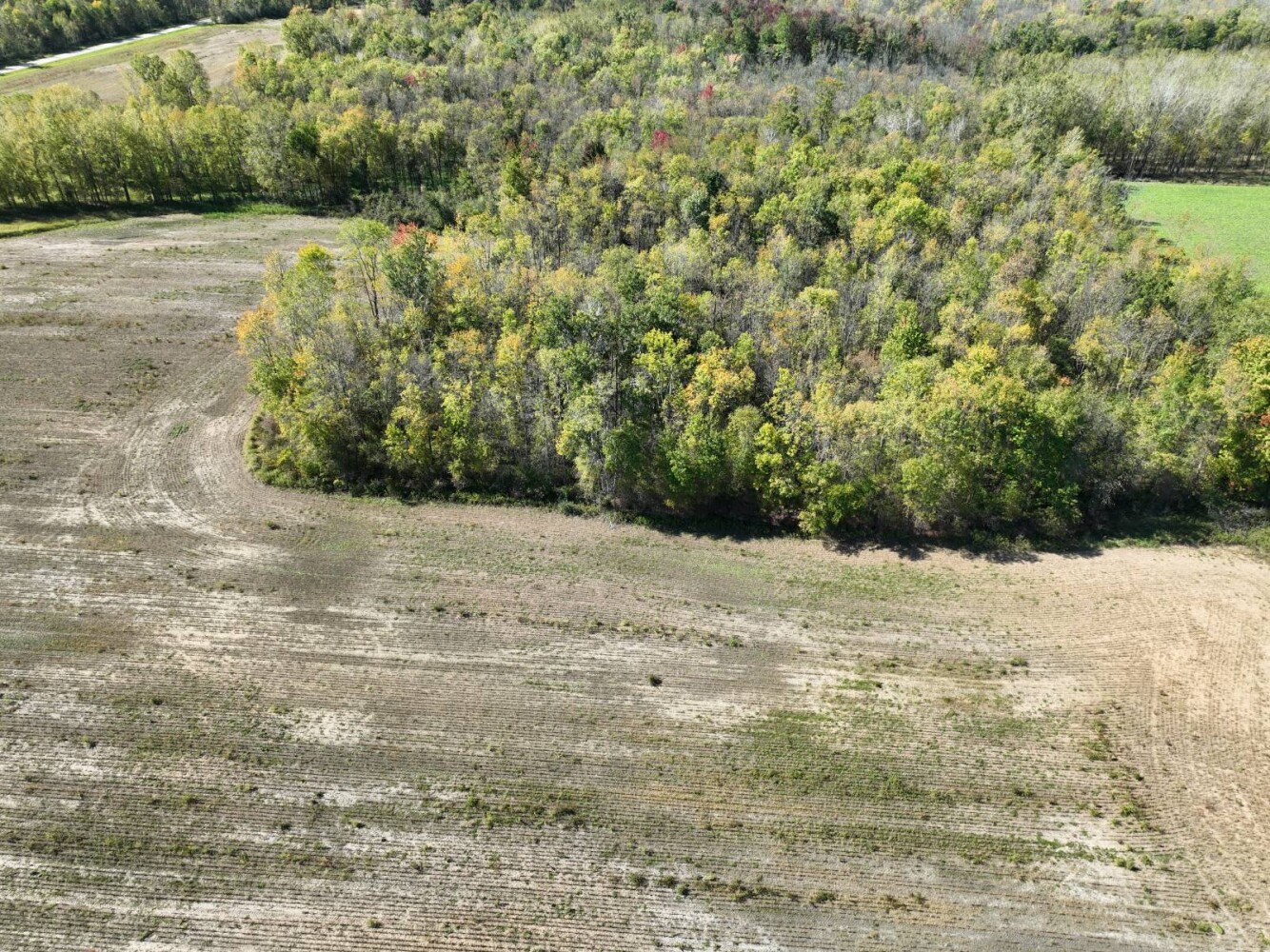 Land for Sale in Oconto County, WI (3 of 13)