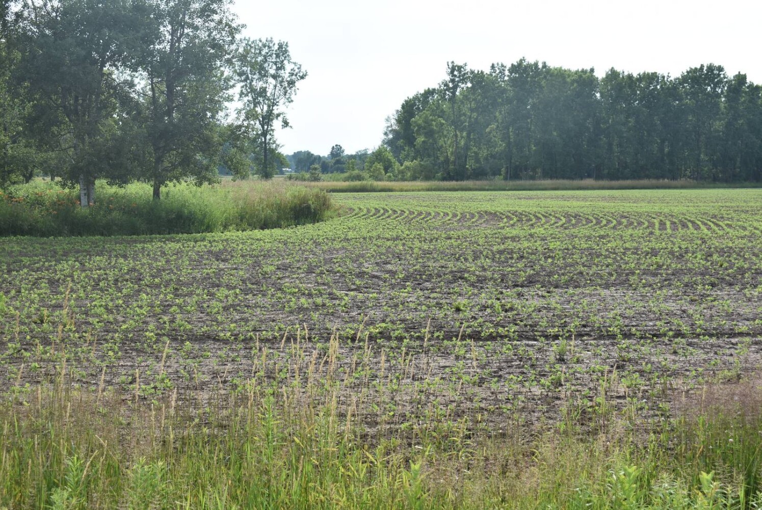 Land for Sale in Oconto County, WI (4 of 13)