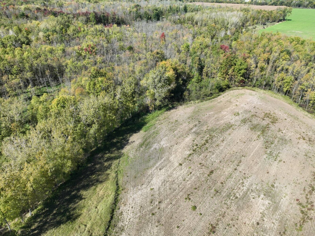Land for Sale in Oconto County, WI (10 of 13)