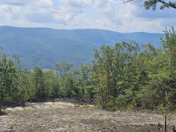 Listing image 0