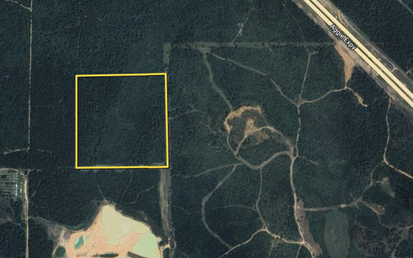 Listing image 6