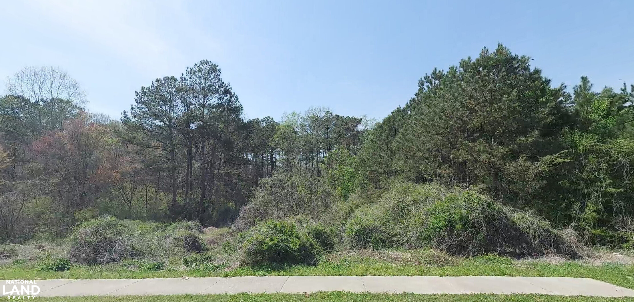 Street view of property from Three Lakes Drive. (4 of 6)