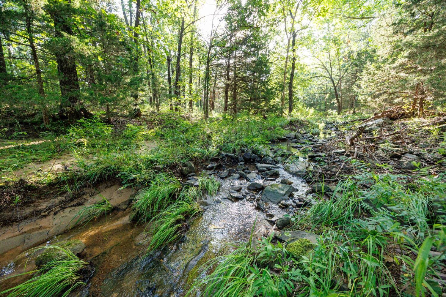 Land for Sale in Chautauqua County, KS (4 of 49)